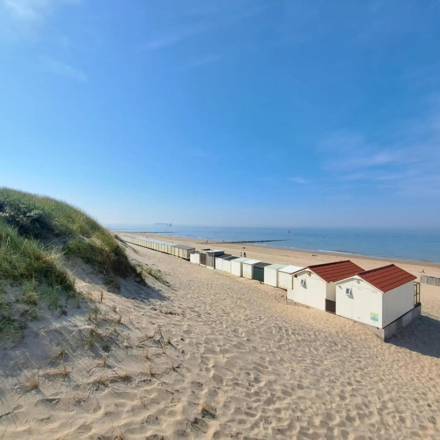 Groepswoning In Hart Zeeland 8 Personen Vp051 Oudelande